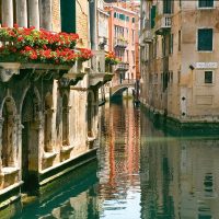 bellissimi fiori sul balcone sugli scaffali foto di esempio