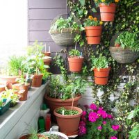 chic flowers on the balcony on the shelves interior picture