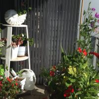 chic flowers in the interior of the balcony on the shelves example photo