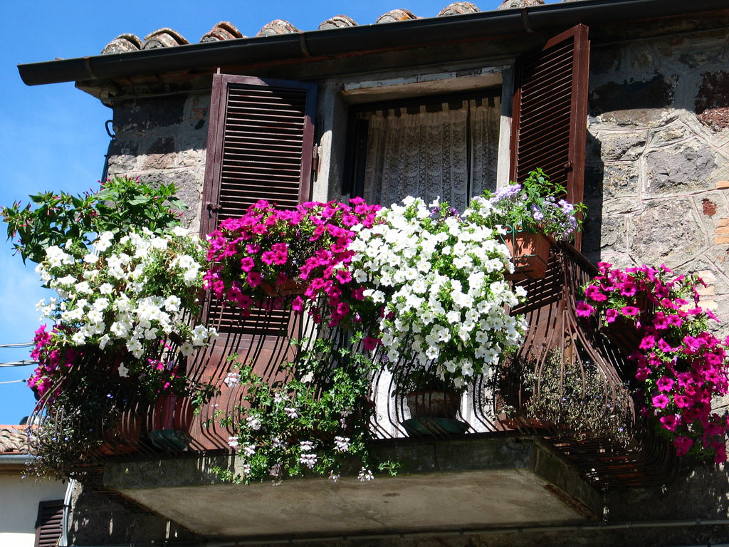 esempio di fiori luminosi sul balcone sugli scaffali