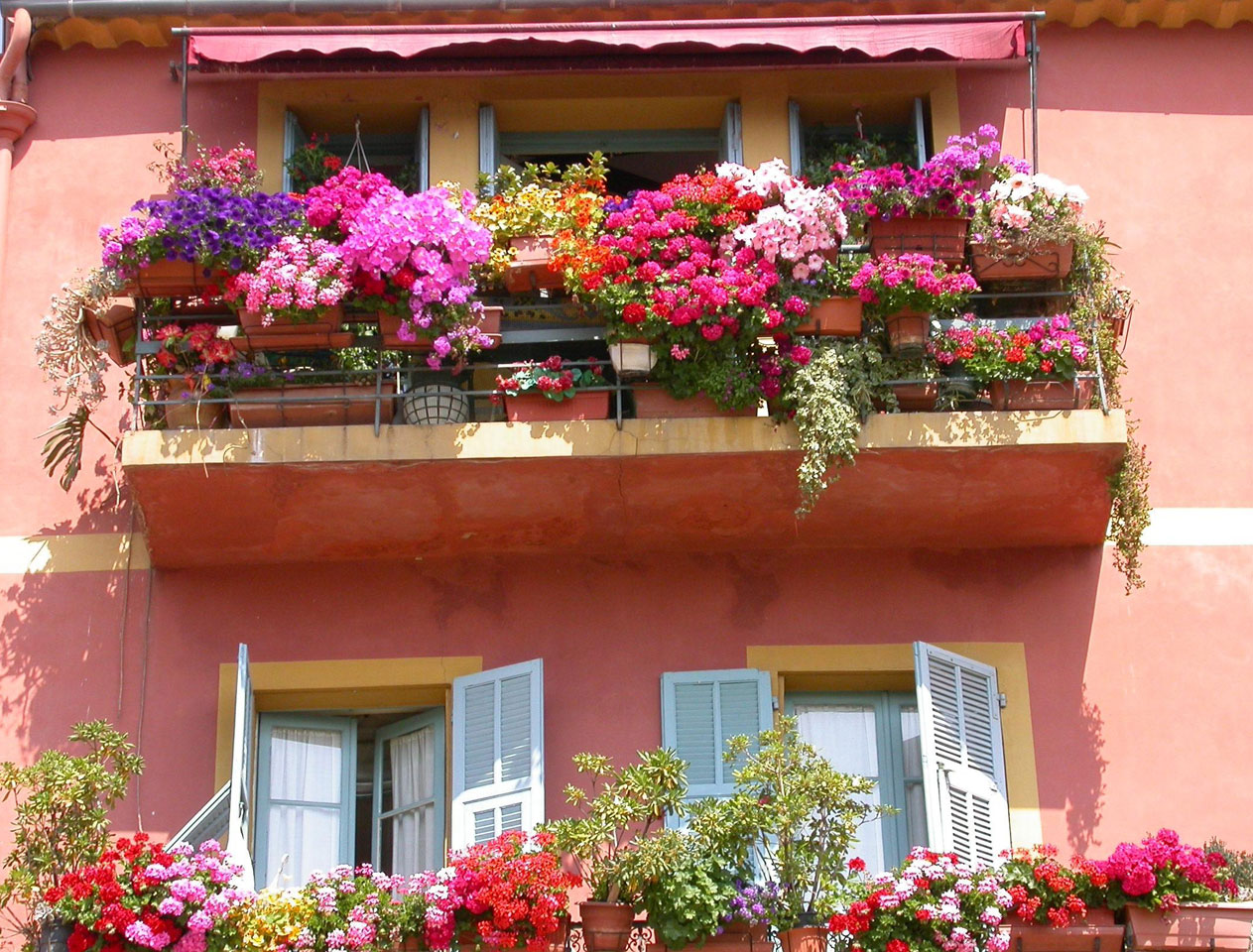 chic flowers in the interior of the balcony on the shelves design