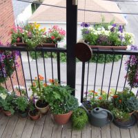 fiori luminosi all'interno del balcone sulla foto di design degli scaffali