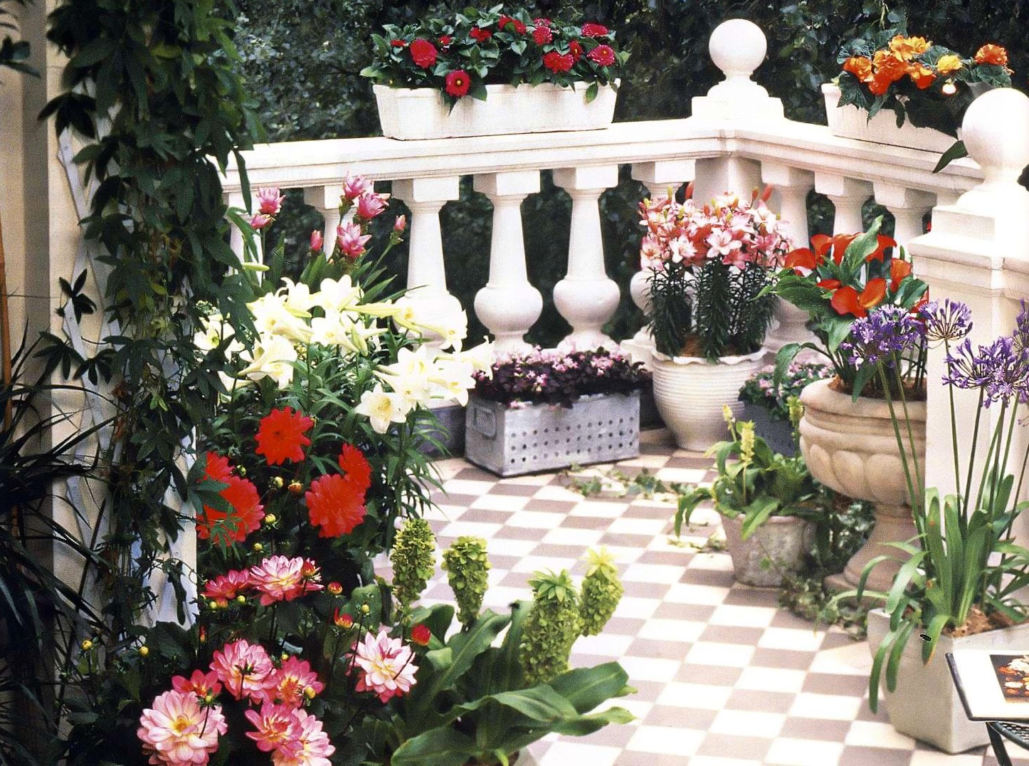 bellissimi fiori all'interno del design delle mensole del balcone