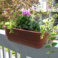 fiori chic sul balcone sulla foto di esempio degli scaffali