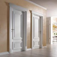 portes de style lumineux avec une touche d'écarlate