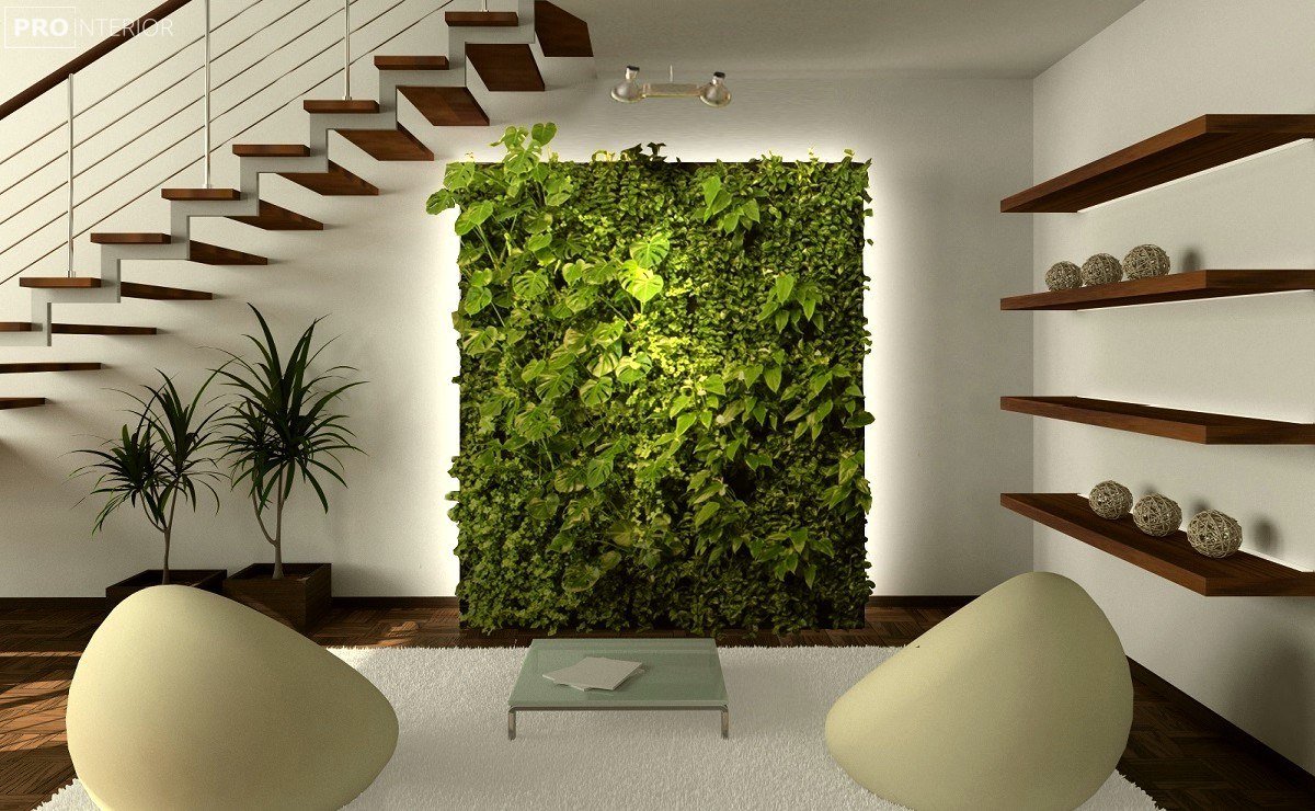 beautiful eco design hallway