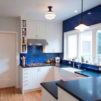 beautiful style of white kitchen with a touch of green picture