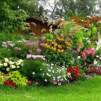 small bright flowers in the landscape design of the summer house photo