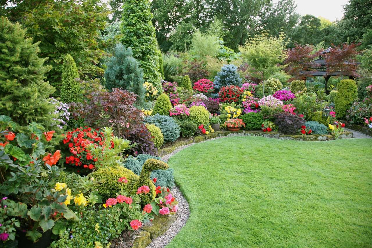 piccoli fiori insoliti nella progettazione del paesaggio di un cottage estivo