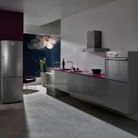 mali hladnjak u unutrašnjosti kuhinje u slici čelične boje