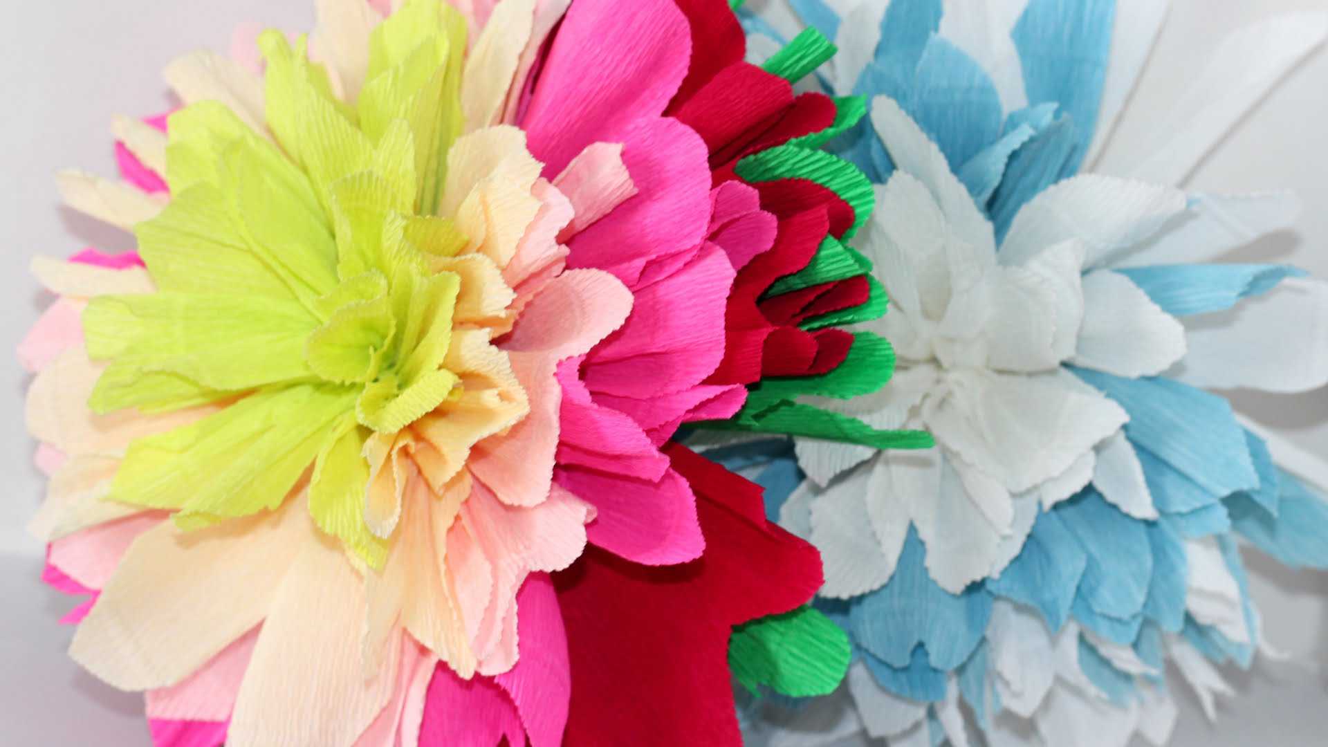 fiori di carta bianca nel design della sala festiva