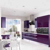 stile cucina leggera in foto viola