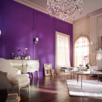 bellissimo arredamento cucina in foto a colori viola