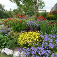 piccoli fiori luminosi nella foto dei cottage di progettazione del paesaggio