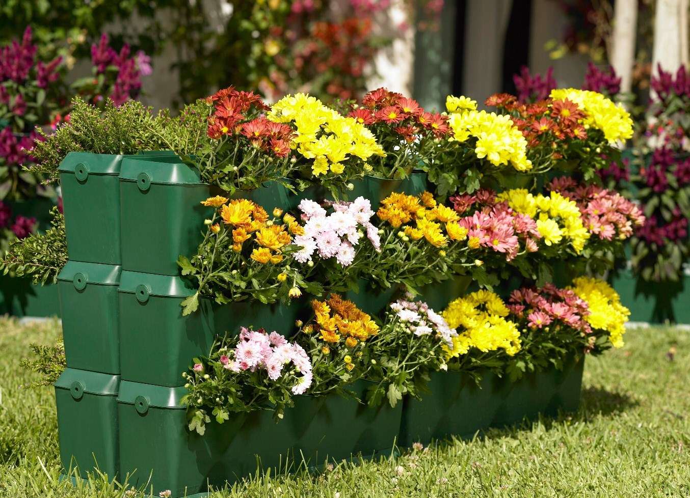 piccoli fiori insoliti nella progettazione del paesaggio di una casa di campagna