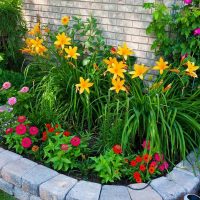 piccoli fiori luminosi nella progettazione del paesaggio della foto del cottage