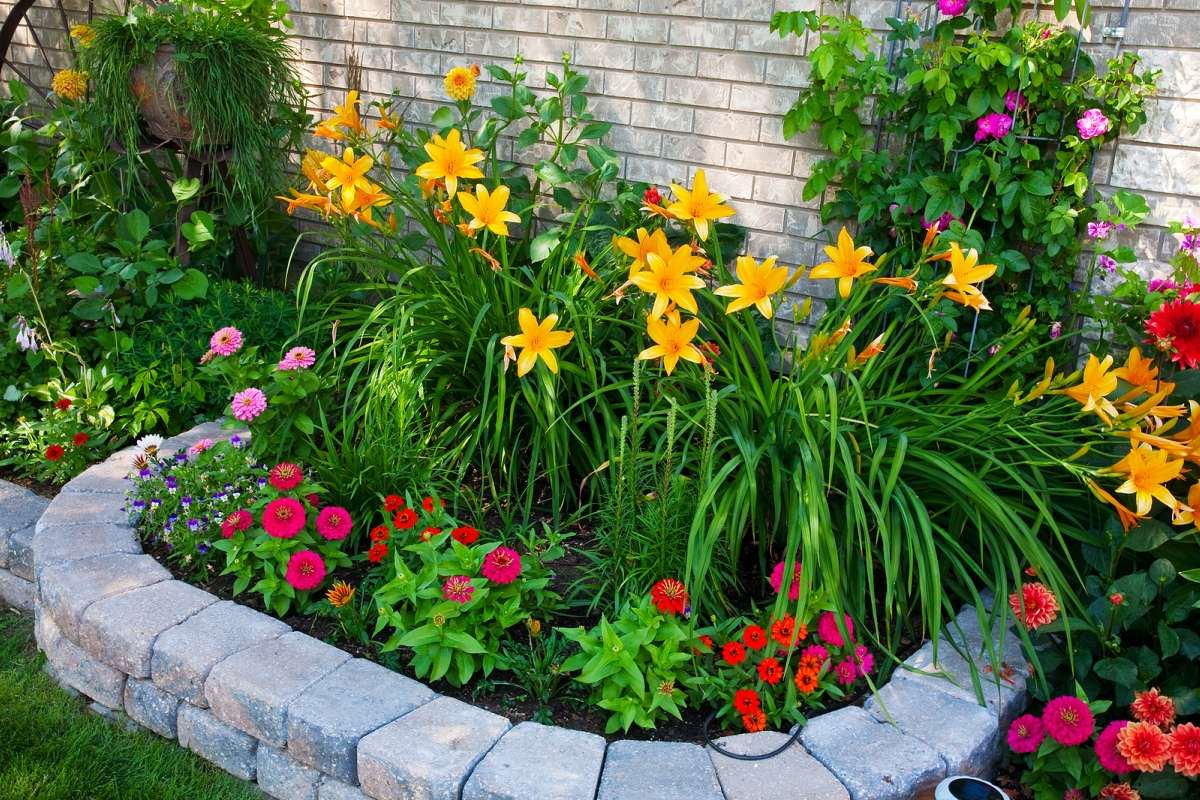 small bright flowers in the landscape design of a country house