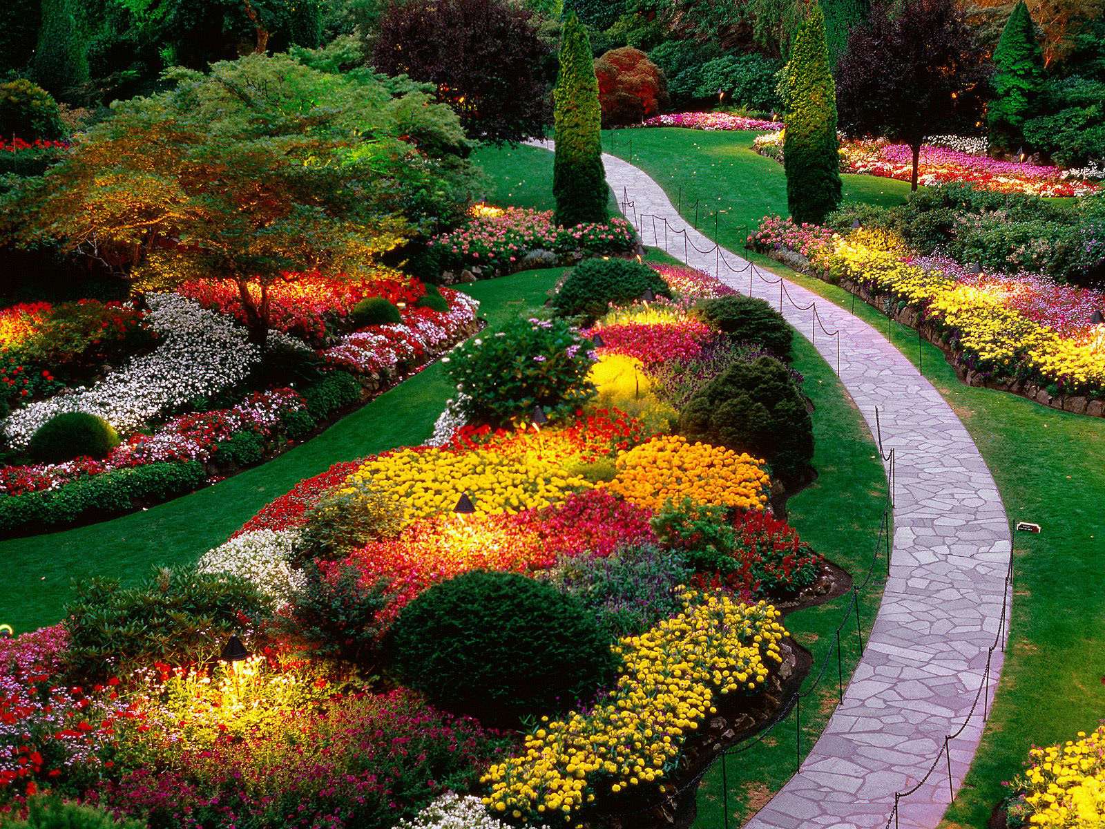 grandi fiori bellissimi nel paesaggio del cottage