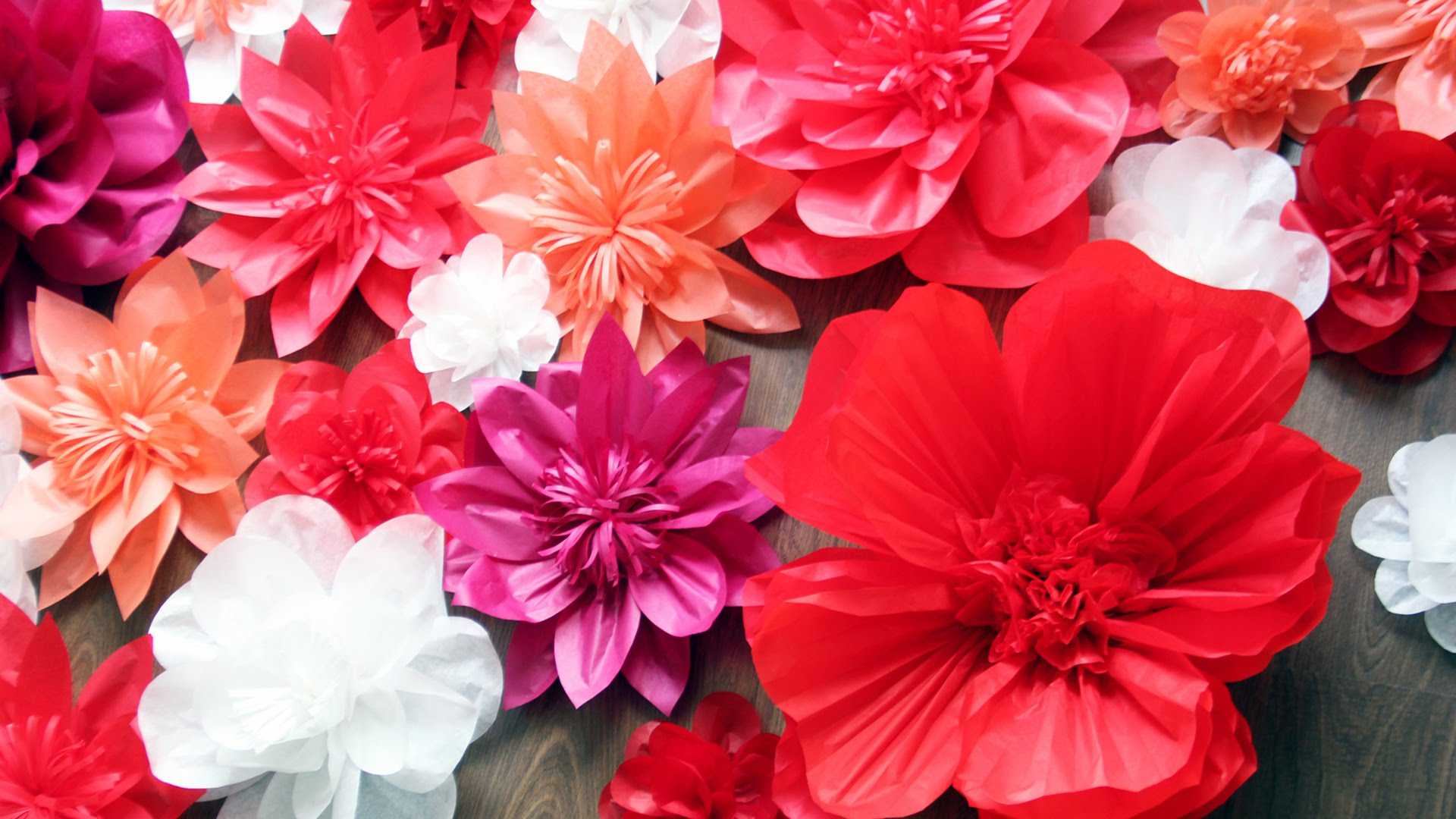 fleurs en papier blanc à l'intérieur de la salle