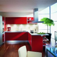 kombinacija crvene s drugim bojama u dekoru slike stana