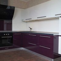 stile cucina leggera in foto tinta viola