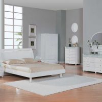 ярки бели мебели в дизайна на снимката на хола