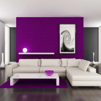 arredamento luminoso del corridoio in foto viola