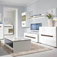mobilier blanc lumineux dans le style du couloir photo
