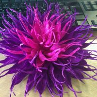 fleurs en papier bleu à l'intérieur de la photo de la salle