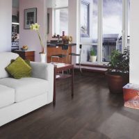 bright dark floor in the decor of the apartment picture