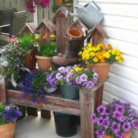 unusual creation of the design of the cottage area with stones with your own hands photo