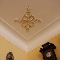 bella immagine modellata della decorazione del soffitto