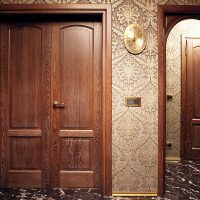 dark doors in the interior of the living room photo