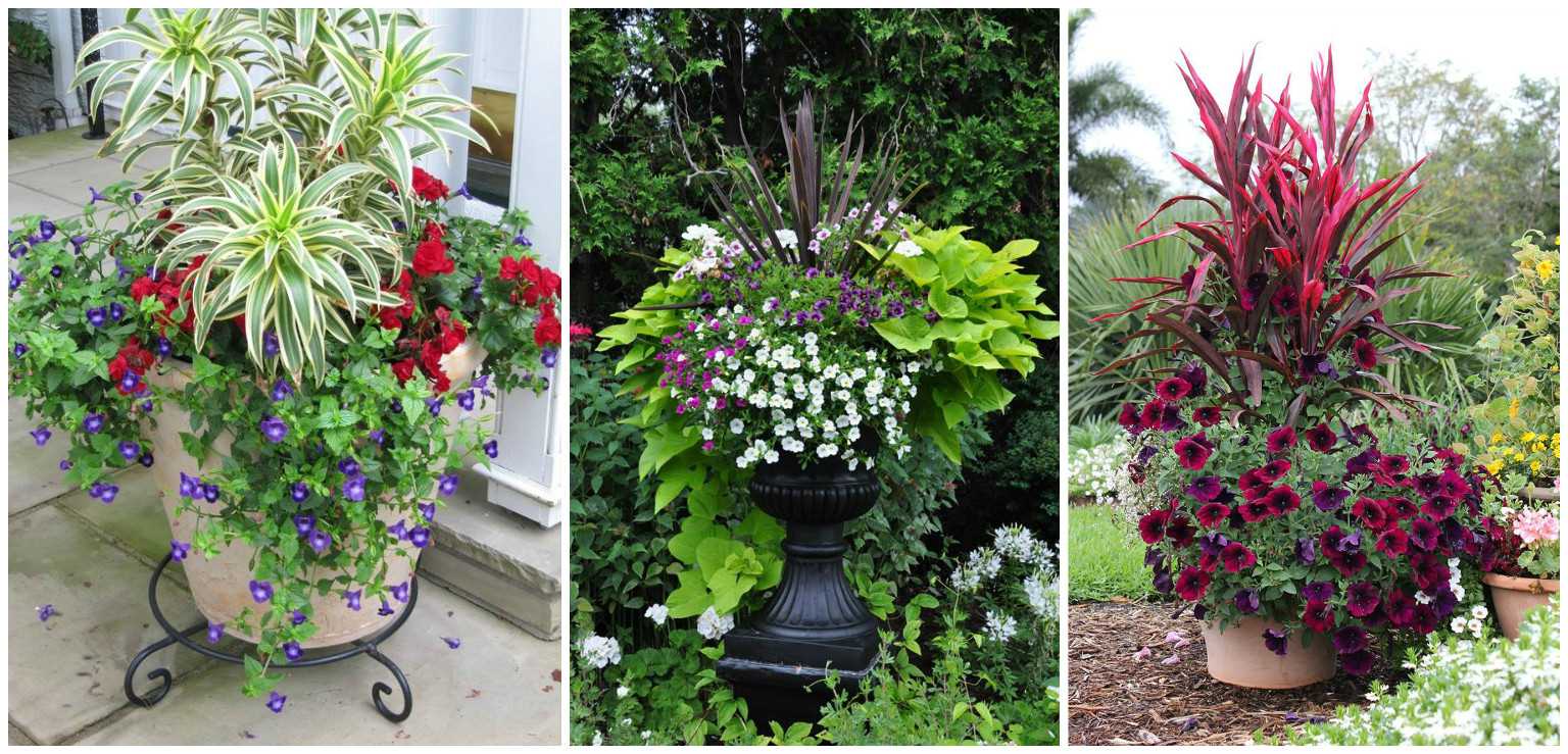 bella decorazione della trama del giardino con materiali improvvisati