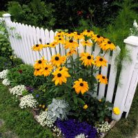 unusual design design of a summer cottage with trees do it yourself picture