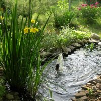 bella creazione del design di un cottage estivo con fiori fai da te foto