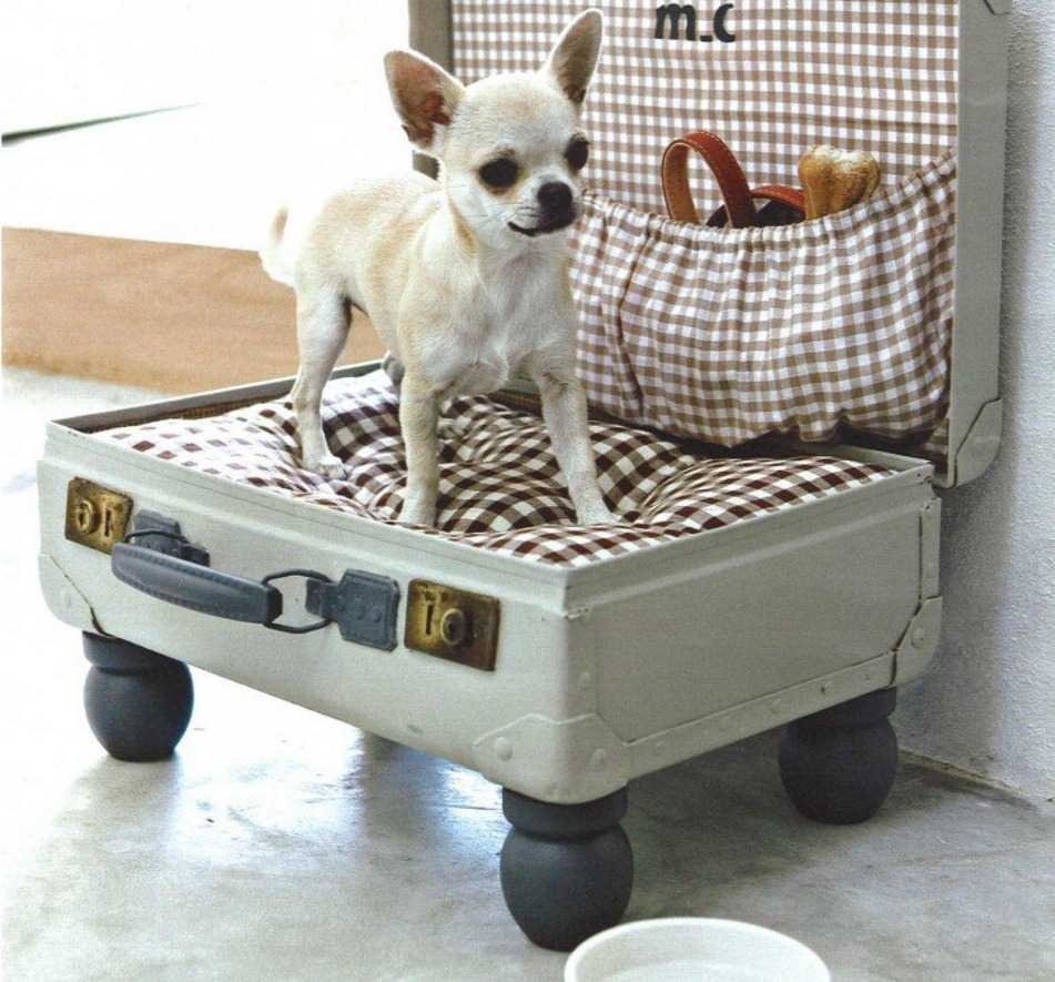 décor insolite de l'appartement avec de vieilles valises