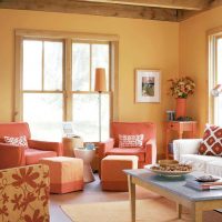 kombinacija svijetlo narančaste boje u dizajnu stana sa slikom drugih boja