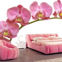 kombinacija svijetlo ružičaste boje u stilu spavaće sobe sa slikom drugih boja