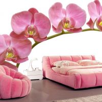 a combination of light pink in the style of the bedroom with other colors picture