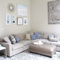 kombinacija svijetlo sive boje u dizajnu stana s fotografijom drugih boja