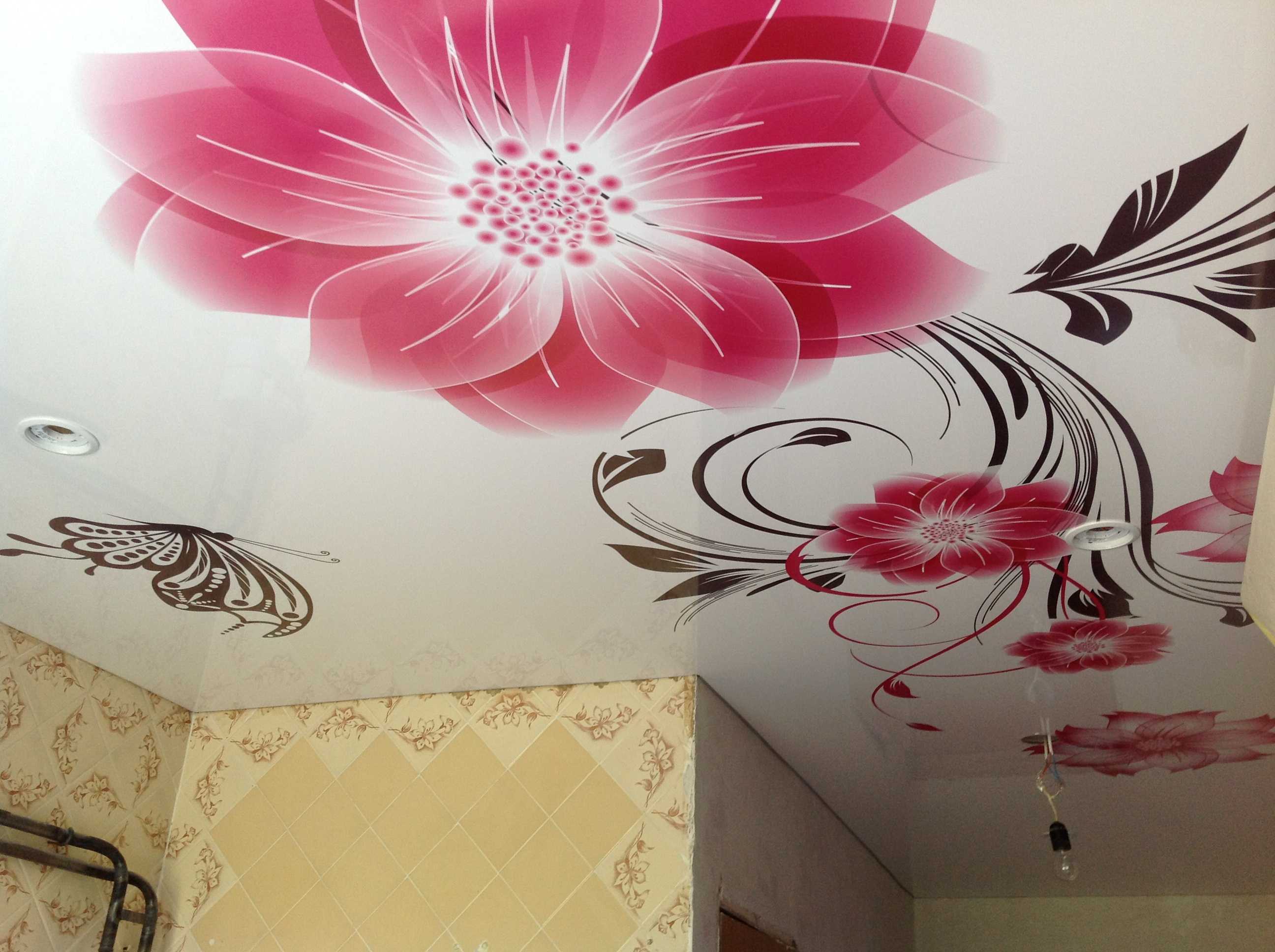 decorazione classica del soffitto con accessori