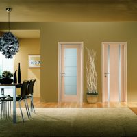 dark style apartment doors picture