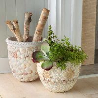 option of beautiful decor of pots picture