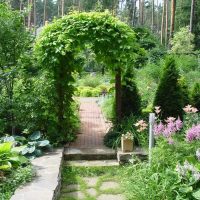 decorazione originale della trama del giardino con la tua foto di mani