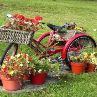 insolita decorazione della trama del giardino fai da te foto