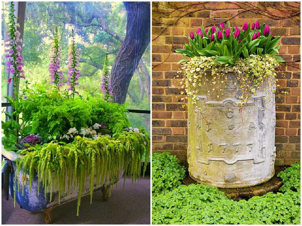 design originale del giardino con le tue mani