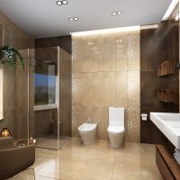 idea of ​​a beautiful bathroom design picture