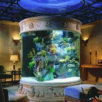 variant of unusual decoration of the aquarium photo