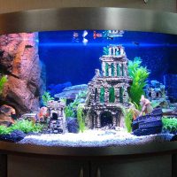 ideja lijepog dizajna fotografije kućnog akvarija